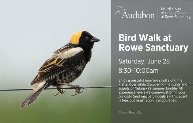 Bird Walk at Rowe Sanctuary 