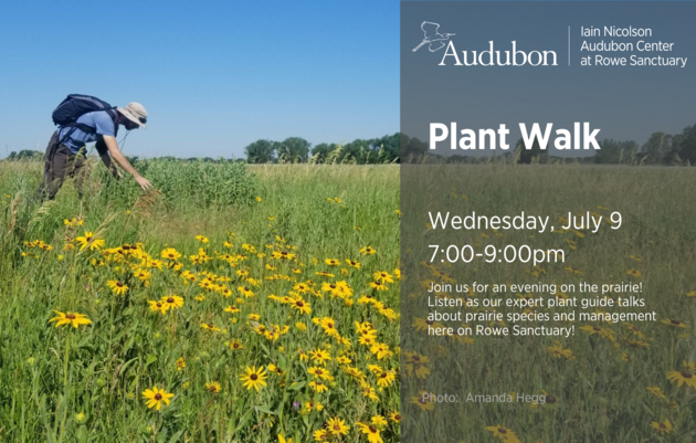 Plant Walk