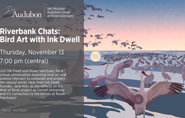 Riverbank Chats: Bird Art with Ink Dwell