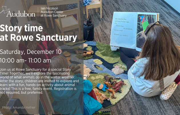 Story time at Rowe Sanctuary