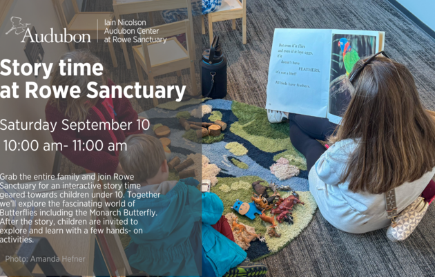 Story time at Rowe Sanctuary 