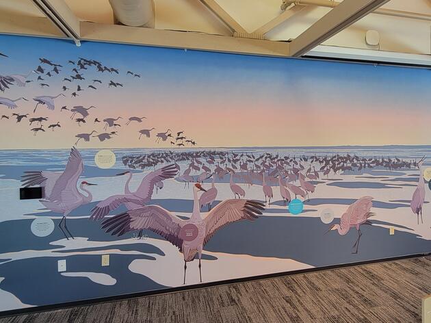 Rowe Sanctuary Unveils New Interactive Exhibits Showcasing Nature and Wildlife