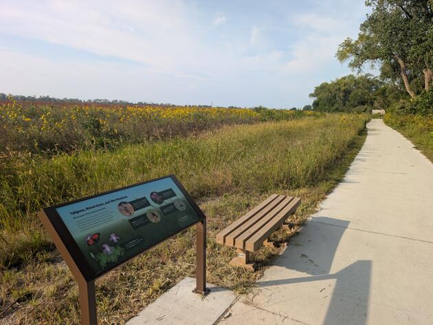 Rowe Sanctuary Trail Highlight