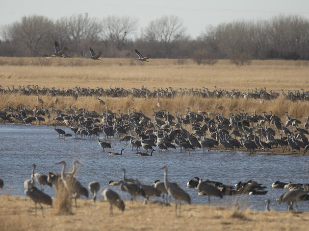 Witness the Wonder All Season