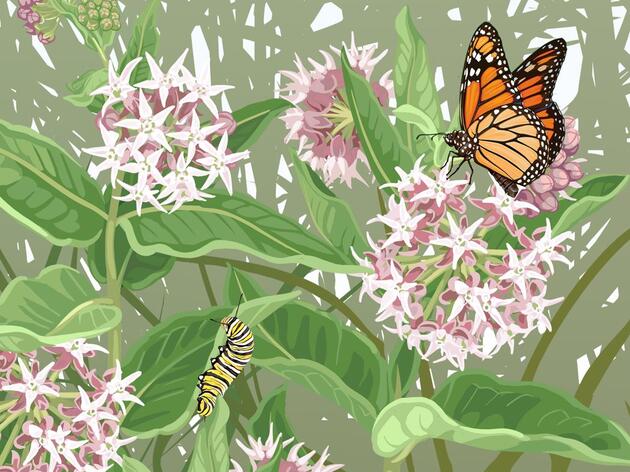 New Exhibits to Welcome Visitors to Rowe Sanctuary 
