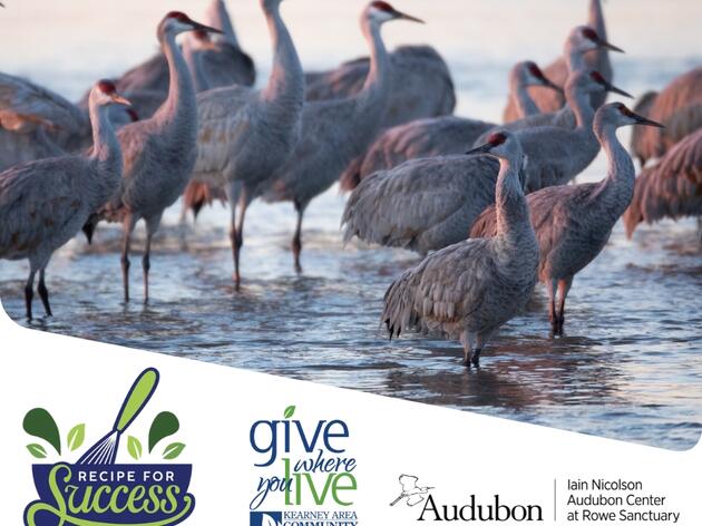 Give Where You Live: Help us reach our goal!