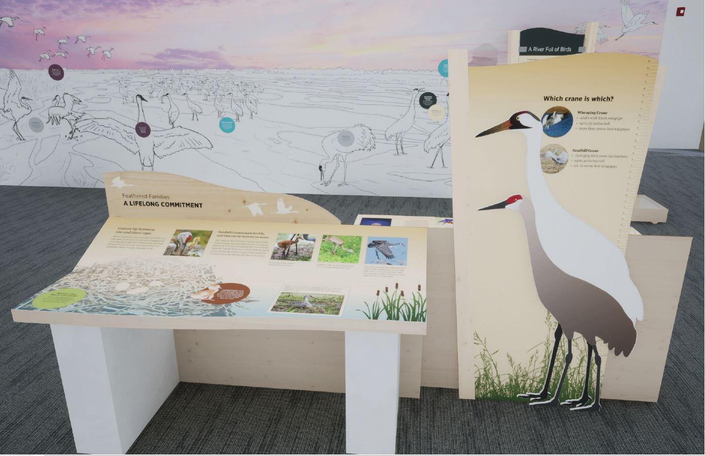 Rendering of Sandhill crane exhibit