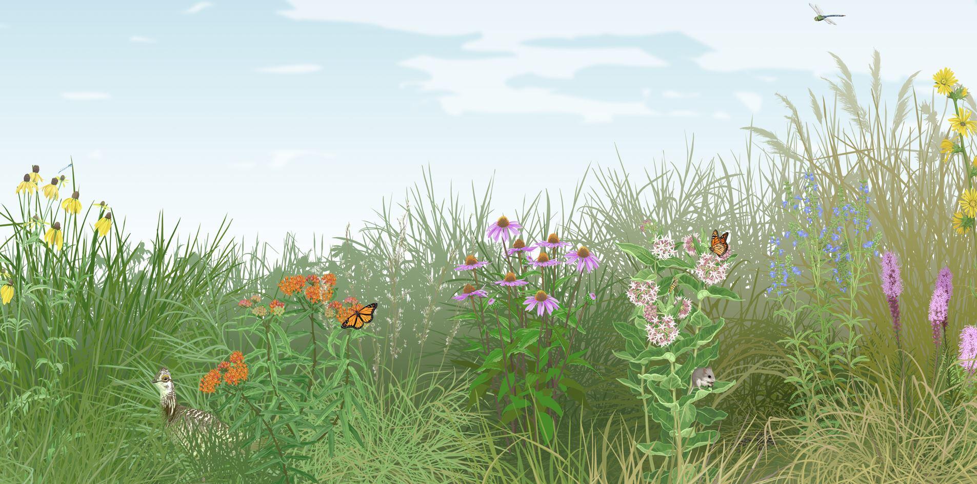 Prairie rendering